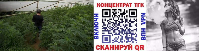 где купить наркотик Неман ТГК Wax