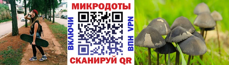 Псилоцибиновые грибы мухоморы Неман